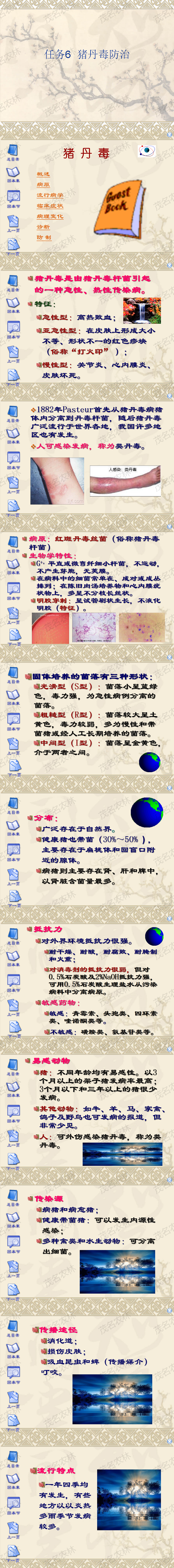 任務6 豬丹毒防治.png