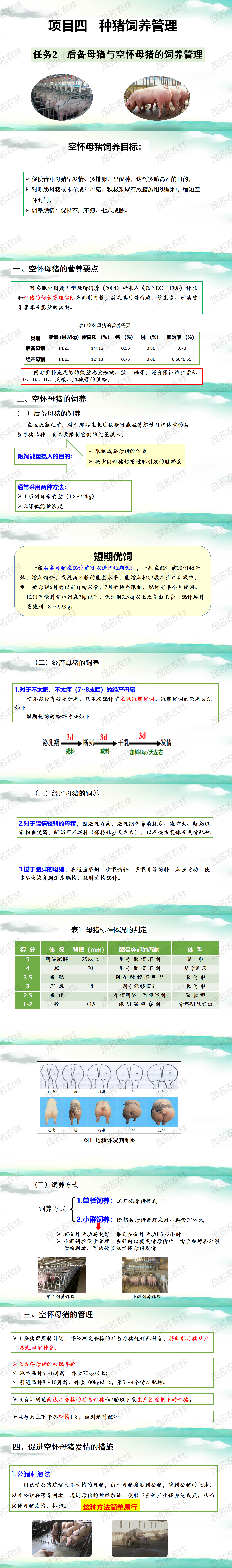 任務2 後備母豬與空懷母豬飼養管理.png