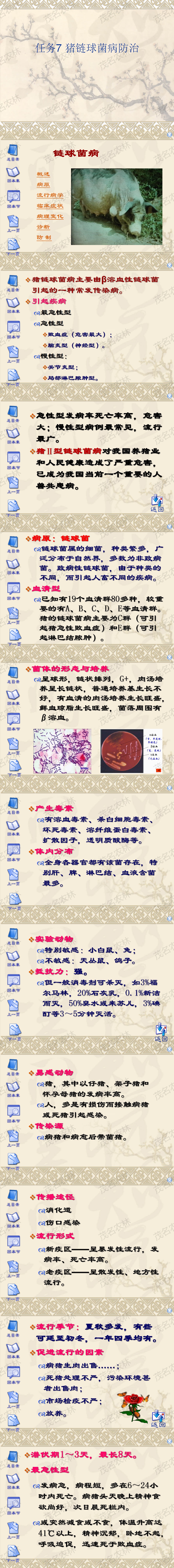 任務7 豬鏈球菌病防治.png