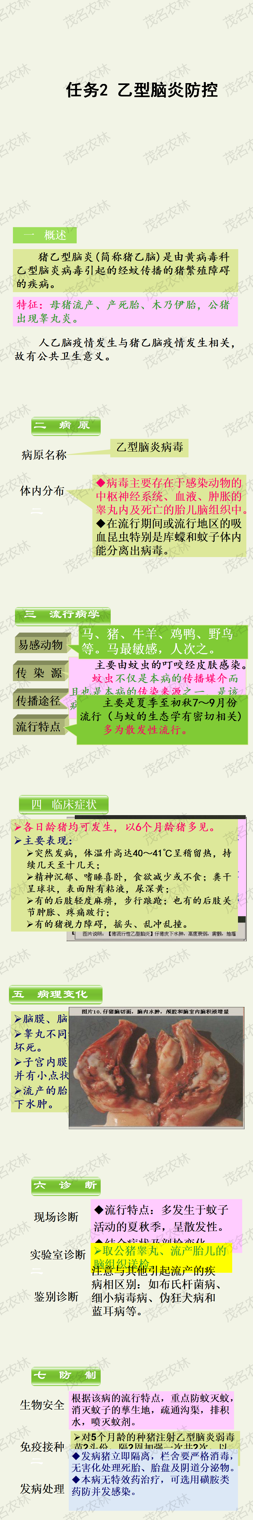 任務2 乙型腦炎防控.png